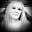 Mishi McCoy's avatar