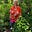WanderingSioux's avatar