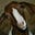 Willcall's avatar