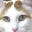 Cats&music's avatar