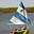Gerard Mittelstaedt's avatar