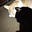 K.C. Raybould's avatar