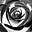Rose Ford's avatar