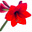 John Murray's avatar