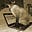 Duane Pierce's avatar