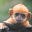 cheesemonkeySF's avatar