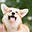 chiquita's avatar