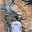 Shubham Goyal's avatar