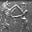 Alexander Enkidu's avatar