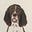 John's avatar