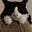 JohnL's avatar