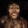 Australopithecus afarensis's avatar