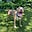 Valerie Patch's avatar