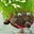 Martin's avatar