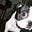jack's avatar