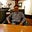 gary yee's avatar