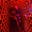 serhat's avatar