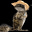 GuessAgain's avatar
