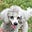 Betsy Kennerly's avatar
