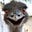 AHugeRabbit's avatar