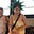 Katherine Jin's avatar