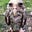 SerialParkingViolator's avatar