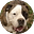 Southern Style's avatar