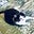 R Stewart Walton's avatar