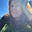 CTak's avatar