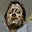 D. Dawsonne's avatar