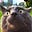 Ktizzer's avatar