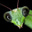 Neil Anderson's avatar