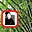 CVG's avatar