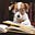 LiterateDog's avatar