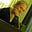 Sarah Anderson's avatar