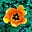 F. Mims's avatar
