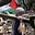 Nabil Sater's avatar