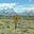 wyoming307's avatar