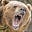 Rugbear's avatar