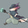 Flavertex's avatar
