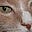 Lynne Pitts's avatar