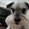 Brenda Gail Morrisson's avatar