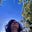 Avatar de Maria Clara Fernandes