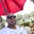 Alton Roches's avatar