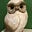 Caspar Alexander Pearson's avatar