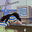 spectrum's avatar