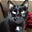 dieSchwarzeKatze's avatar