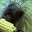 GG Train's avatar