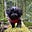 J. Eric Lundin's avatar