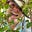 Avatar de Cleu Nacif